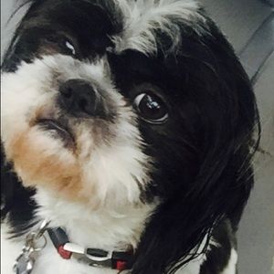 Meet your Posher, Leah